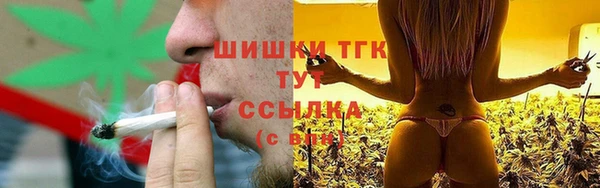 амф Верхний Тагил