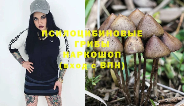 марки lsd Мегион