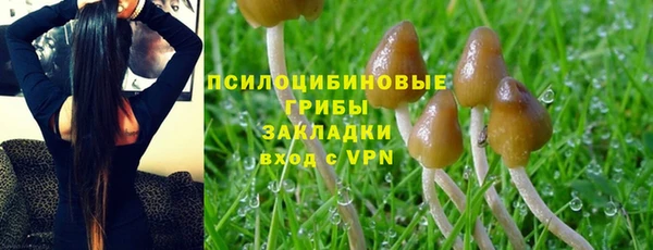 не бодяженный Медногорск