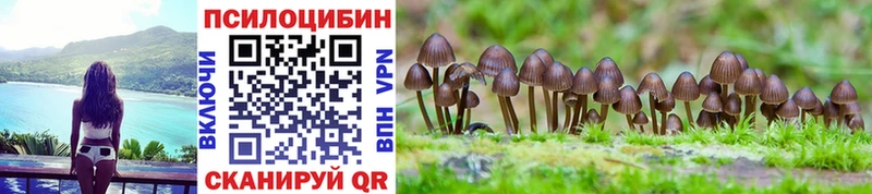 где купить наркотик  Алагир  Галлюциногенные грибы мухоморы 