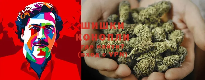 Каннабис OG Kush  Алагир 